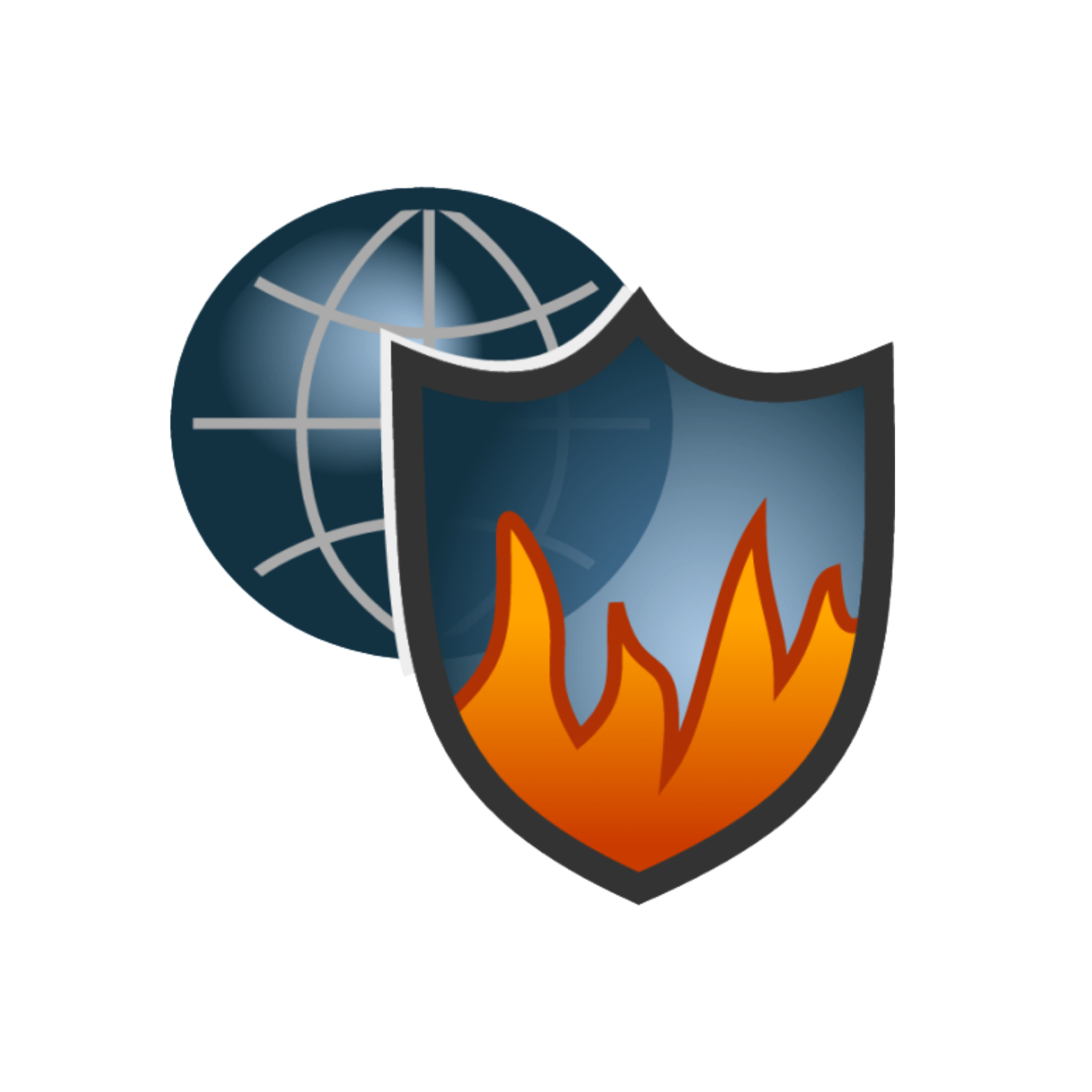Customized Firewall Rules